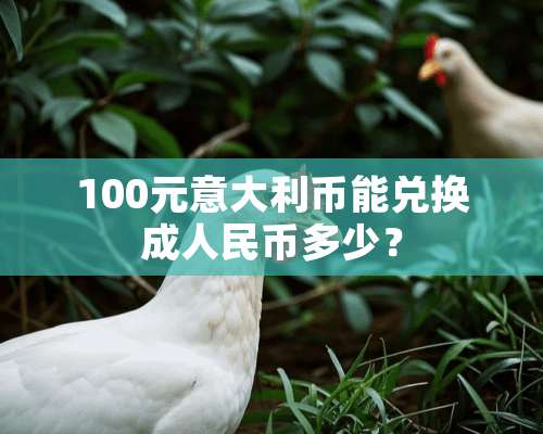 100元意大利币能兑换**民币多少？