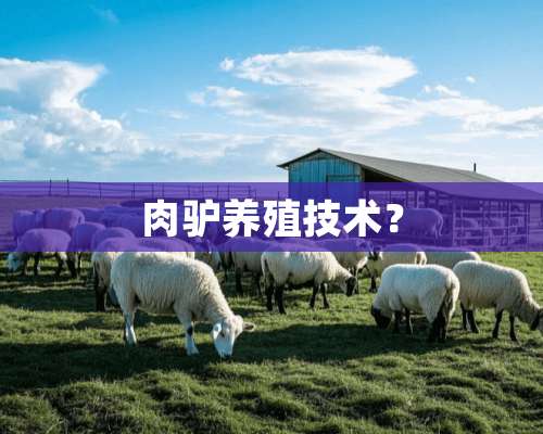 肉驴养殖技术？