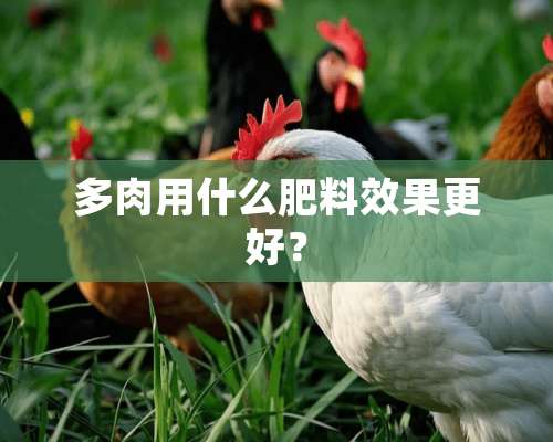 多肉用什么肥料效果更好？