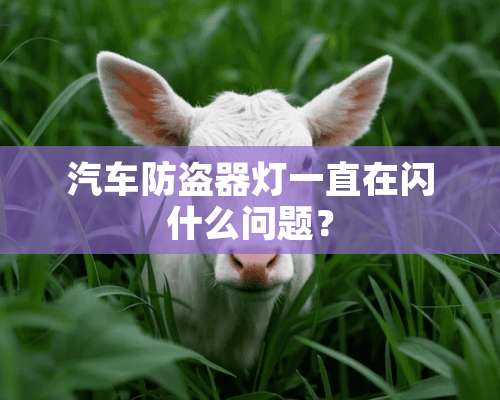 汽车防盗器灯一直在闪什么问题？