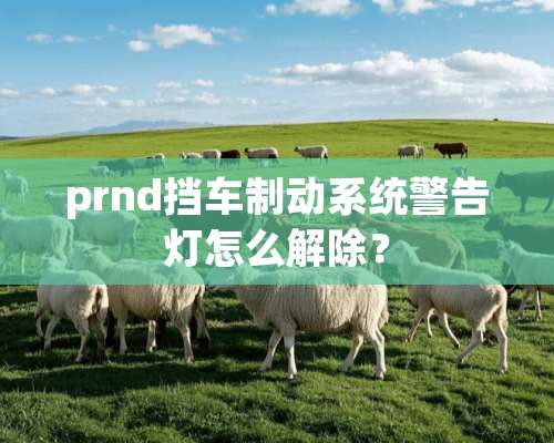 prnd挡车制动系统警告灯怎么解除？