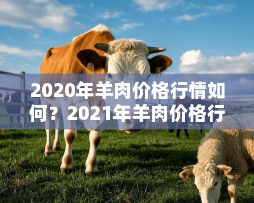 2020年羊肉价格行情如何？2021年羊肉价格行情预测