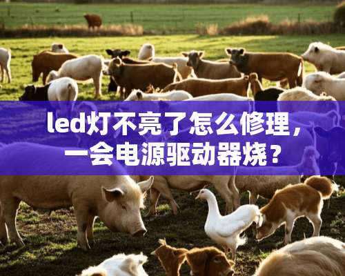 led灯不亮了怎么修理，一会电源驱动器烧？