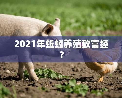 2021年蚯蚓养殖致富经？