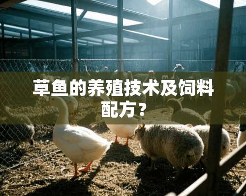 草鱼的养殖技术及饲料配方？