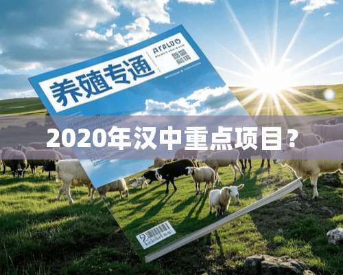 2020年汉中重点项目？