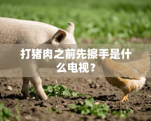 打猪肉之前先擦手是什么电视？