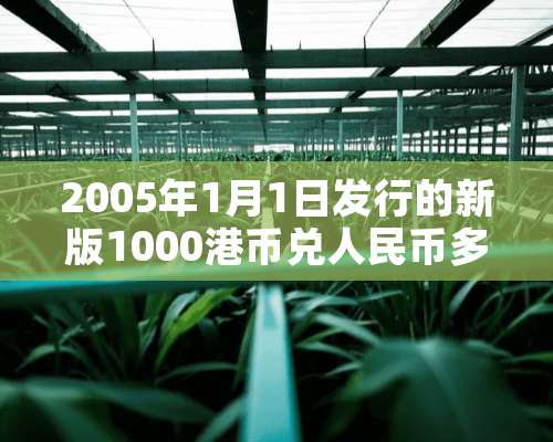 2005年1月1日发行的新版1000港币兑人民币多少钱？