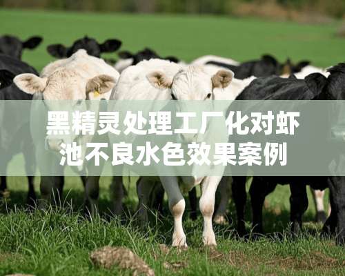 黑精灵处理工厂化对虾池不良水色效果案例