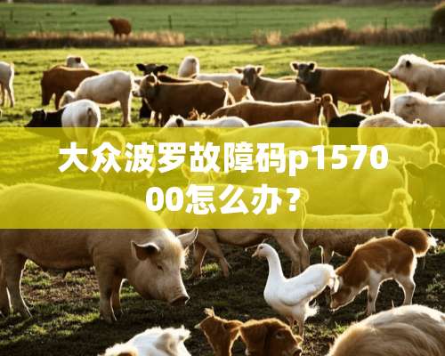 大众波罗故障码p157000怎么办？