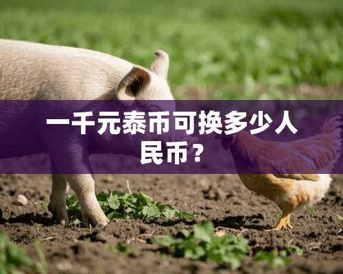 一千元泰币可换多少人民币？