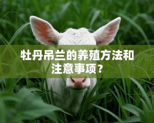 牡丹吊兰的养殖方法和注意事项？