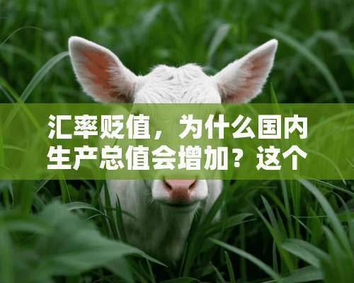 汇率贬值，为什么国内生产总值会增加？这个汇率是指“外汇汇率”还是指“本币汇率”？