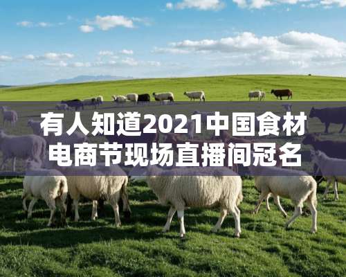 有人知道2021中国食材电商节现场直播间冠名活动怎么参加吗？