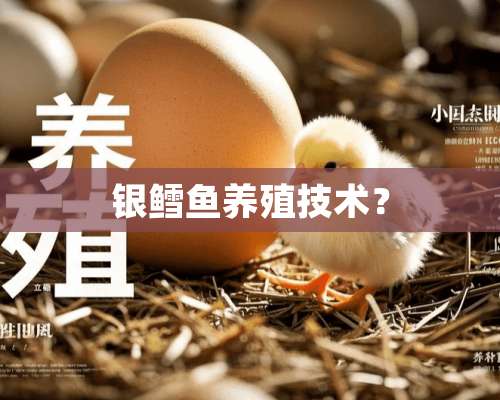 银鳕鱼养殖技术？