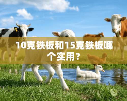 10克铁板和15克铁板哪个实用？