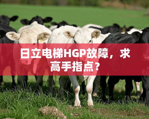 日立电梯HGP故障，求高手指点？