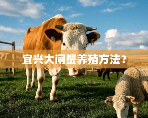 宜兴大闸蟹养殖方法？