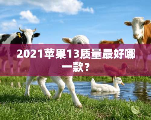 2021苹果13质量最好哪一款？