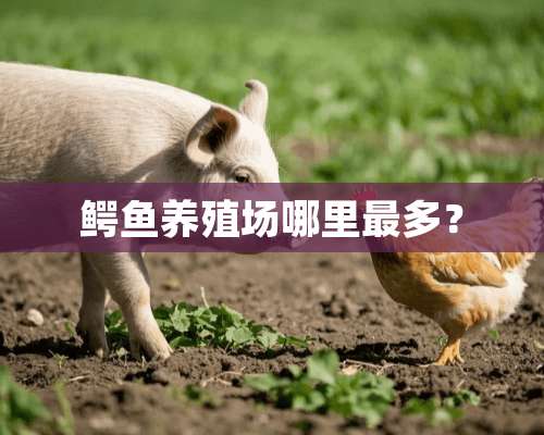 鳄鱼养殖场哪里最多？