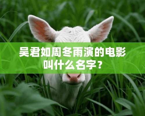 吴君如周冬雨演的电影叫什么名字？