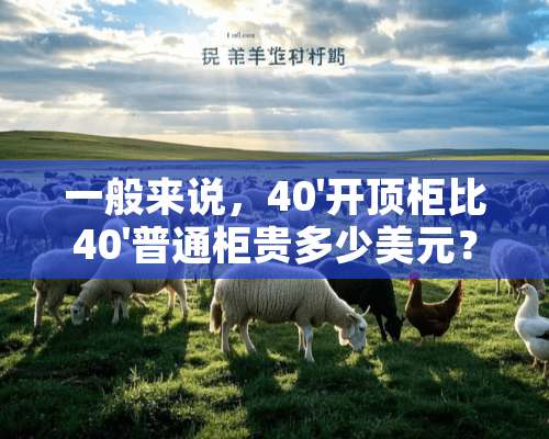 一般来说，40'开顶柜比40'普通柜贵多少美元？谢谢？