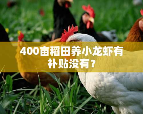 400亩稻田养小龙虾有补贴没有？