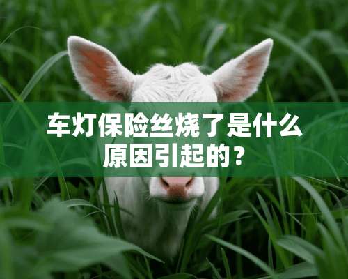 车灯保险丝烧了是什么原因引起的？