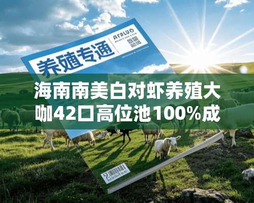 海南南美白对虾养殖大咖42口高位池100%成功经验分享