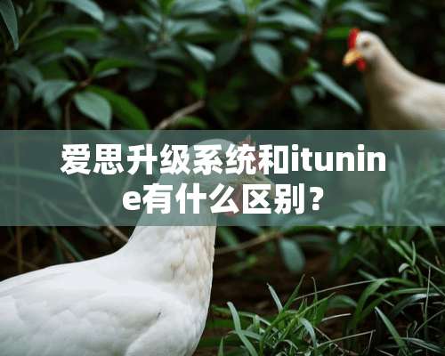 爱思升级系统和itunine有什么区别？