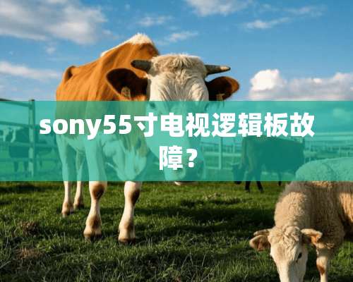 sony55寸电视逻辑板故障？