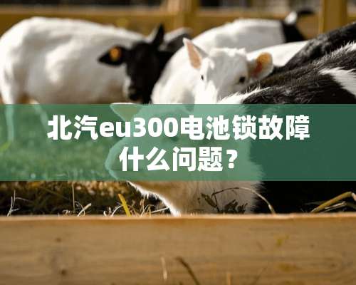 北汽eu300电池锁故障什么问题？