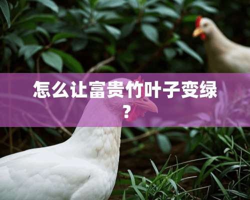 怎么让富贵竹叶子变绿？