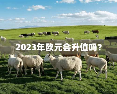 2023年欧元会升值吗？