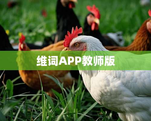 维词APP教师版