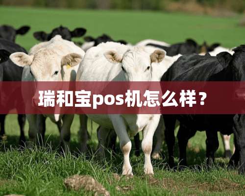 瑞和宝pos机怎么样？