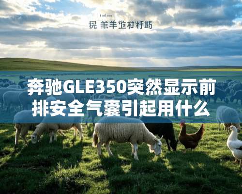 奔驰GLE350突然显示前排安全气囊引起用什么意思？