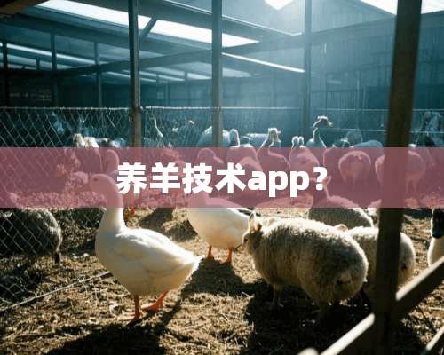 养羊技术app？