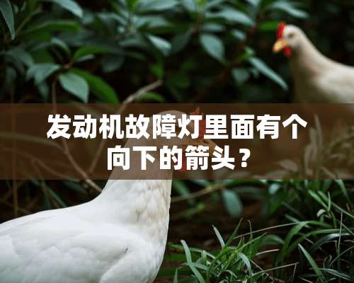 发动机故障灯里面有个向下的箭头？