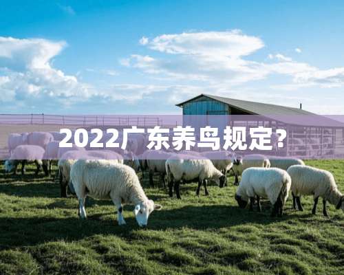 2022广东养鸟规定？