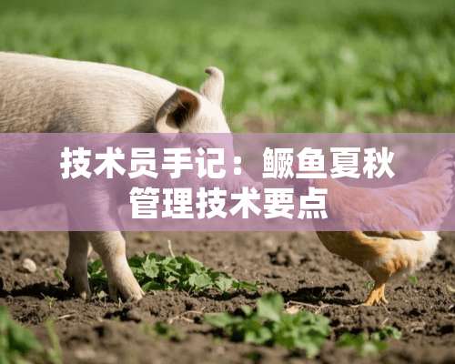 技术员手记：鳜鱼夏秋管理技术要点