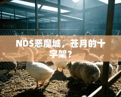 NDS恶魔城，苍月的十字架？