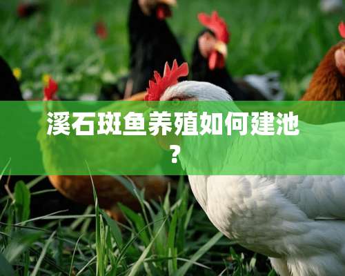 溪石斑鱼养殖如何建池？