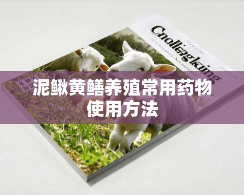 泥鳅黄鳝养殖常用药物使用方法