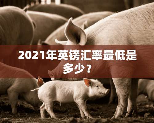 2021年英镑汇率最低是多少？