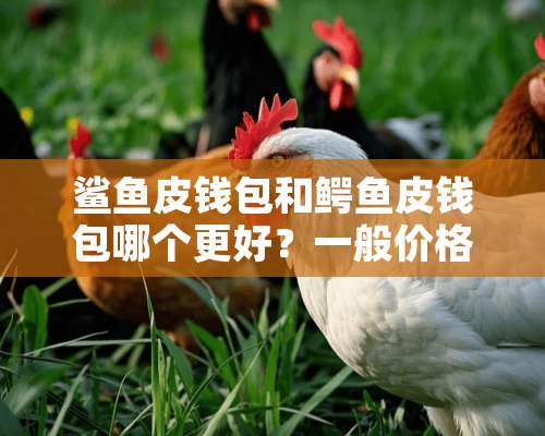 鲨鱼皮钱包和鳄鱼皮钱包哪个更好？一般价格多少？