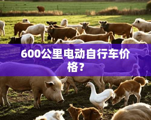 600公里电动自行车价格？