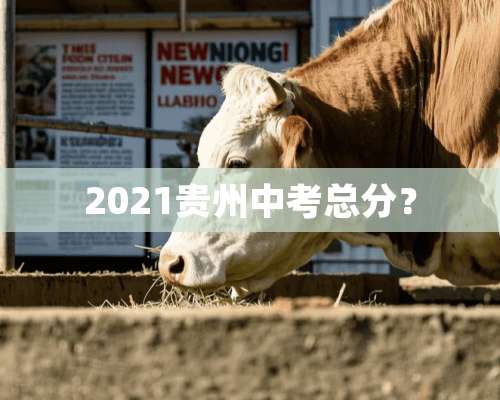 2021贵州中考总分？