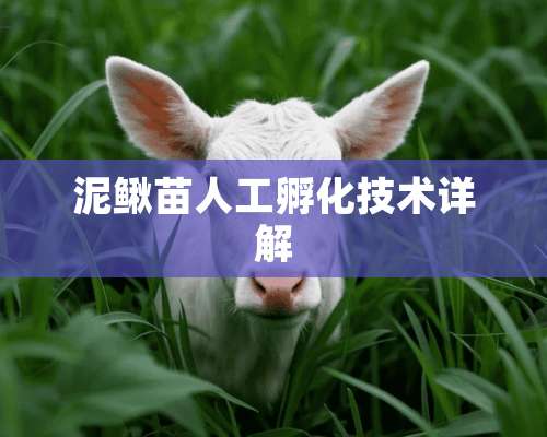 泥鳅苗人工孵化技术详解