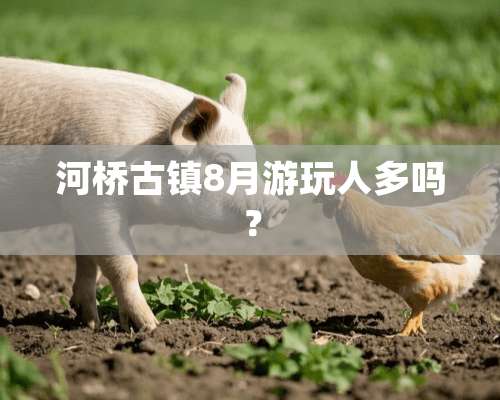 河桥古镇8月游玩人多吗？